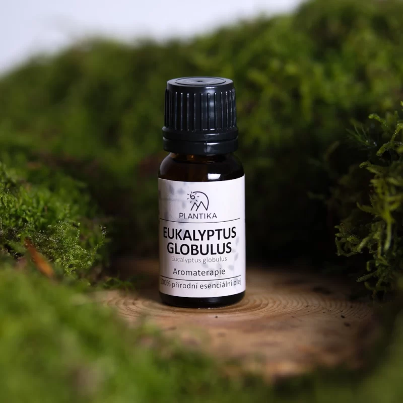 Plantika: Esenciální olej ukalyptus globulus
